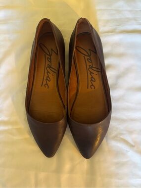 Zodiac Women's Pointed Toe Ballet Flats in Dark Brown